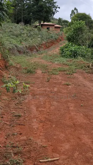 Prime Plot for Sale – Gayaza (Vumba Kanoni Estate)