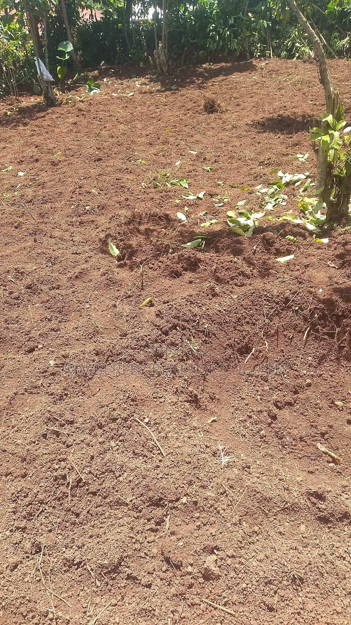 Prime Plot for Sale – Busika (Kibanga Rock Estate)