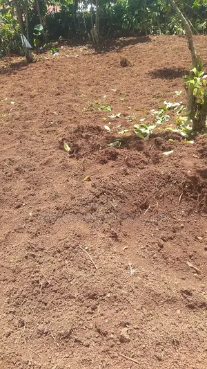 Prime Plot for Sale – Busika (Kibanga Rock Estate)