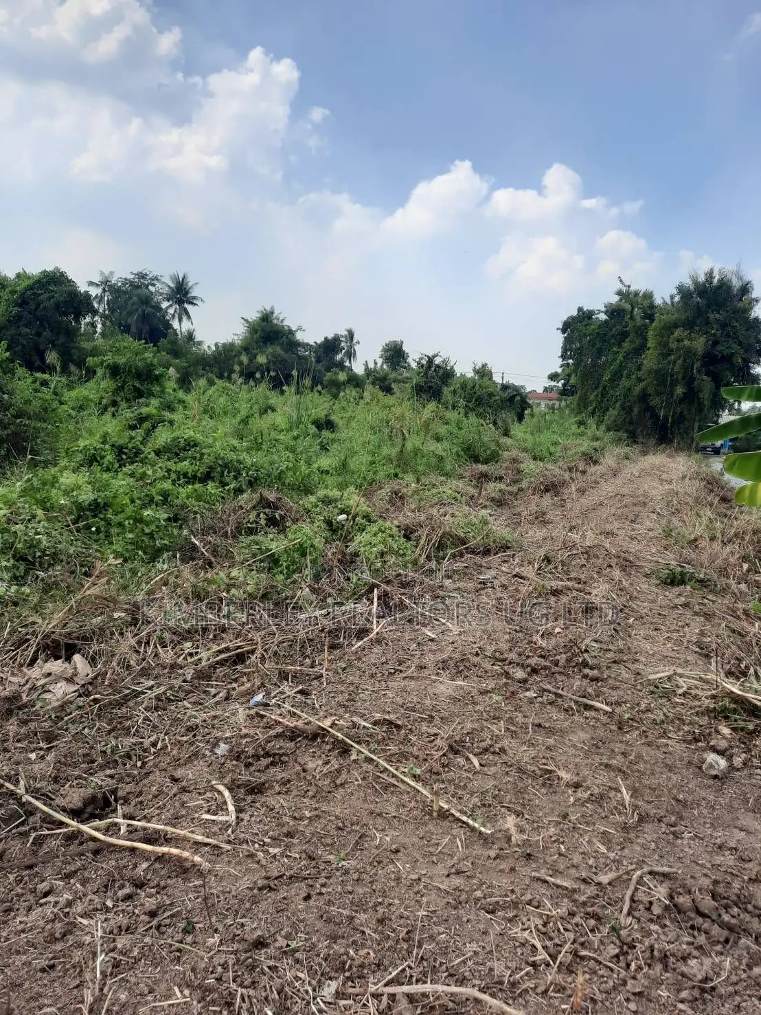 Prime Plot for Sale – Vumba (Kiwangula City)