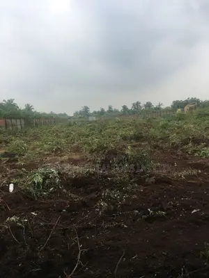 Prime Plot for Sale – Vumba (Kiwangula City)