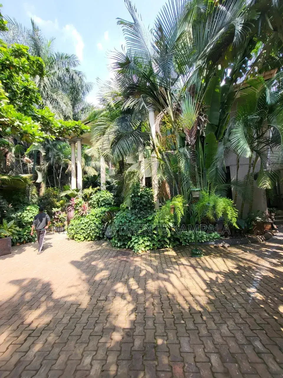 5bdrm Duplex in Muyenga, Central Division for rent