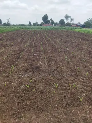 Prime Plot for Sale – Busika (Kalagala Town Estate)