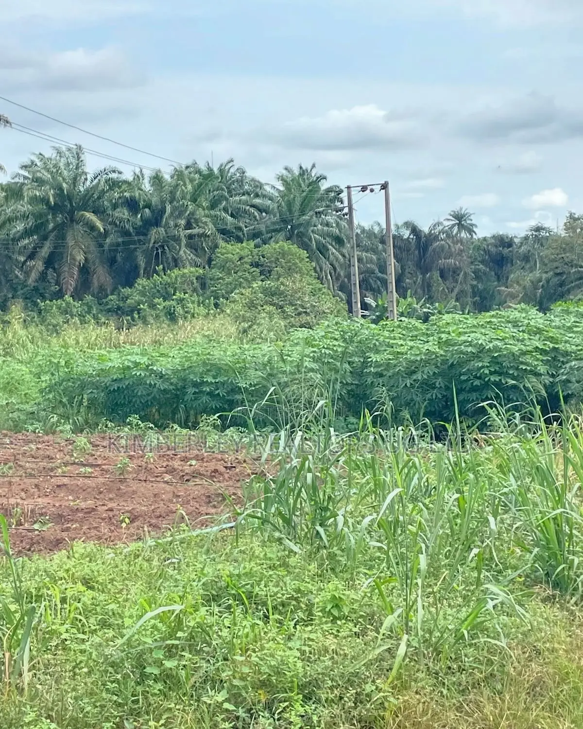 Prime Plot for Sale – Kiwenda (Hilltop Estate)