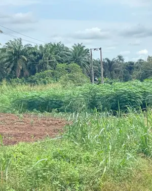 Prime Plot for Sale – Kiwenda (Hilltop Estate)
