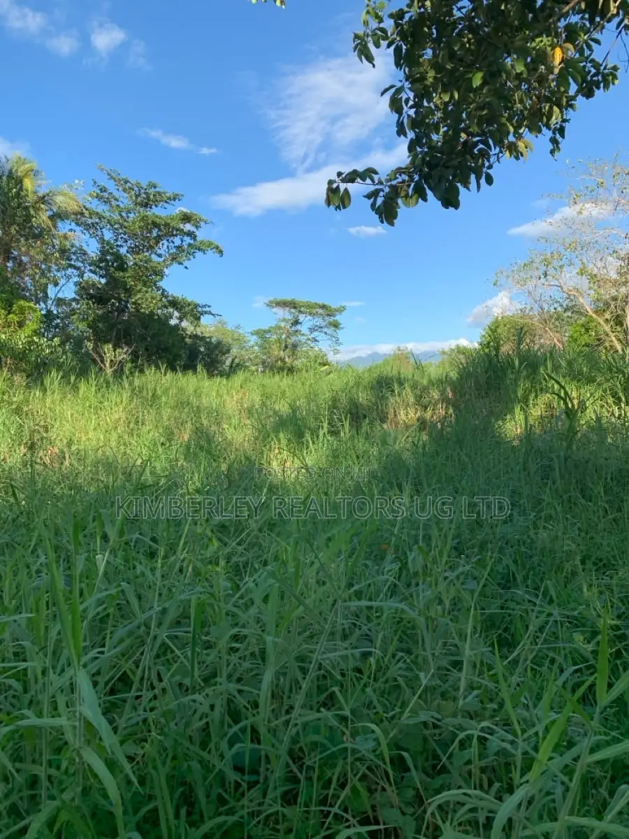 Prime Plot for Sale – Busika (Vila Wabikokoma Estate)