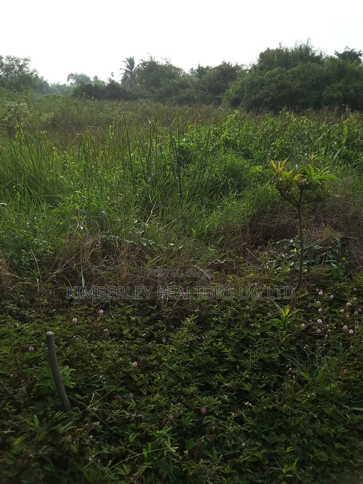 Prime Plot for Sale – Busika (Vila Wabikokoma Estate)