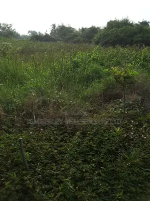 Prime Plot for Sale – Busika (Vila Wabikokoma Estate)