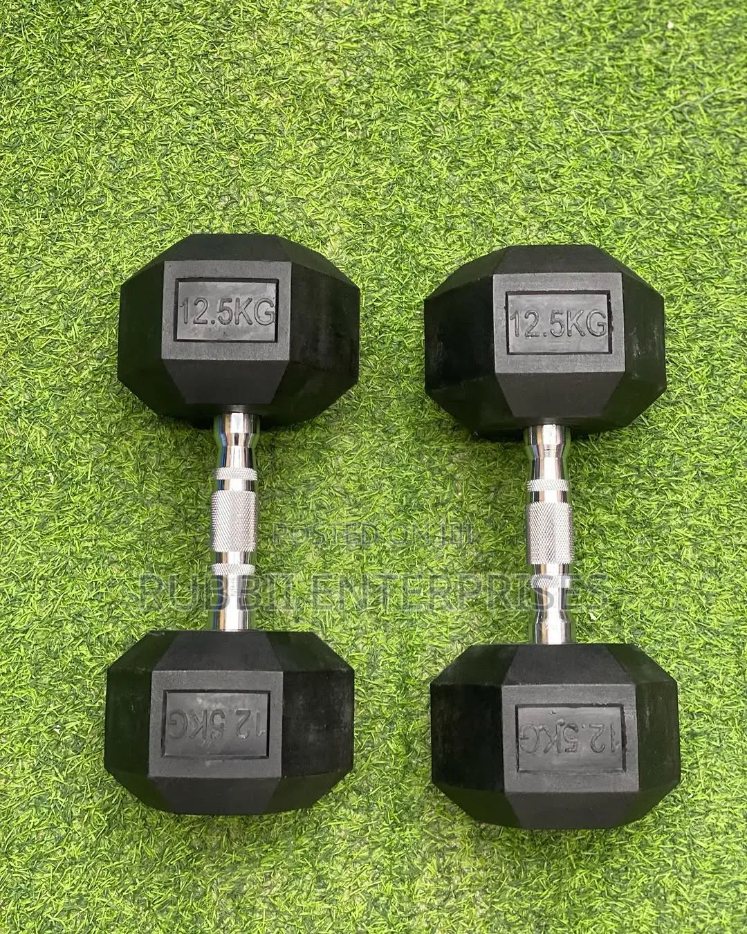 Dumbbells 12.5kg ~ Pair