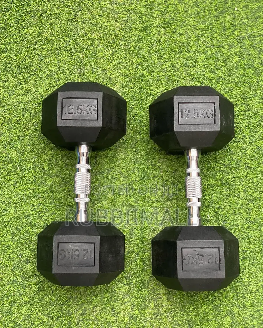 Dumbbells 12.5kg ~ Pair