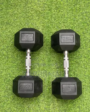 Dumbbells 12.5kg ~ Pair