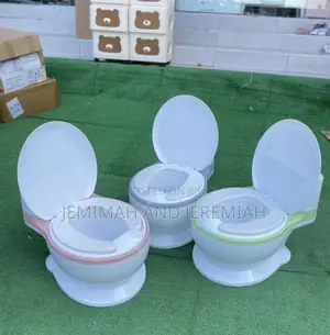Baby and Toddler Flash Potty