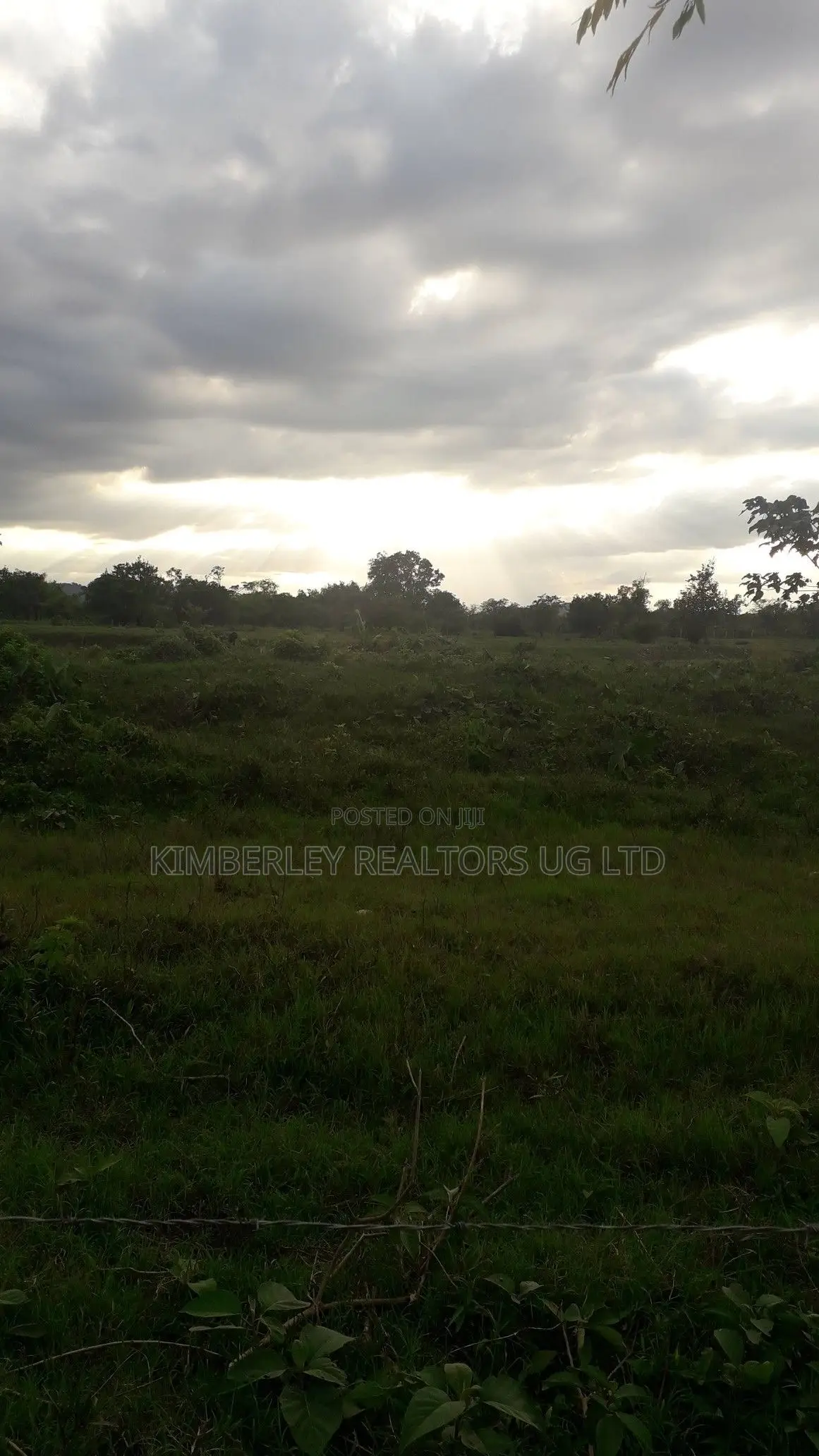Prime Plot for Sale – Kiwenda Kireka Estate
