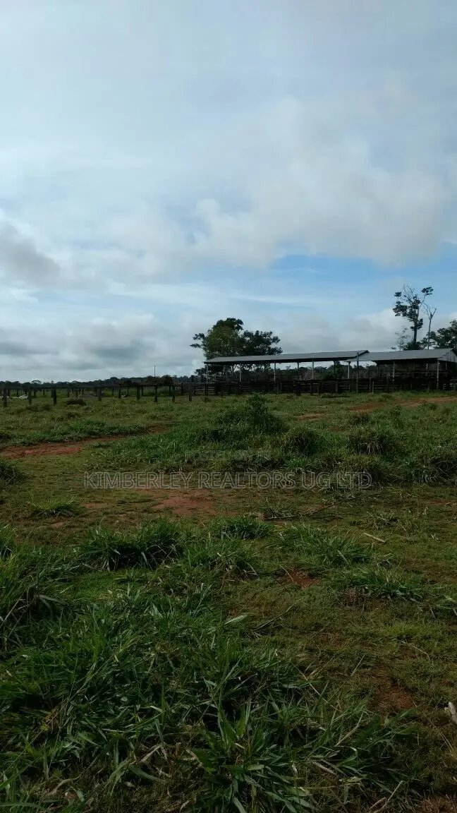 Prime Plot for Sale – Busika Kabembe Estate