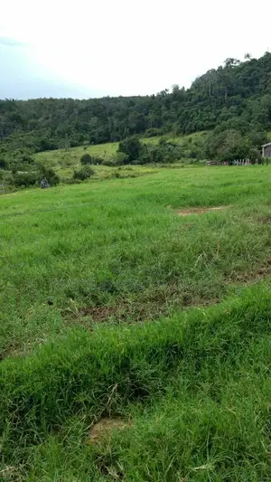 Prime Plot for Sale – Busika Kabembe Estate