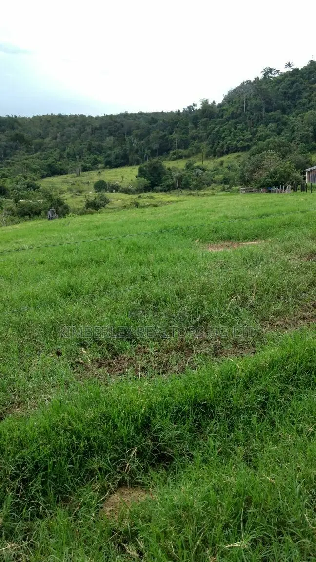 Prime Plot for Sale – Busika Kabembe Estate