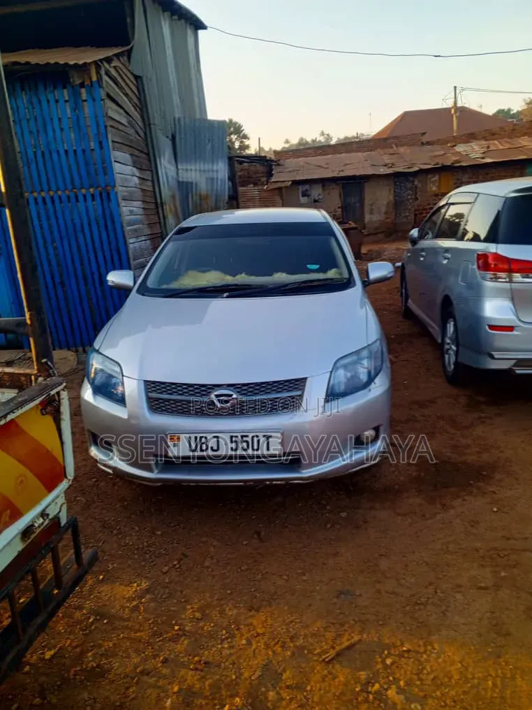 Toyota Corolla Fielder 2010 Gray