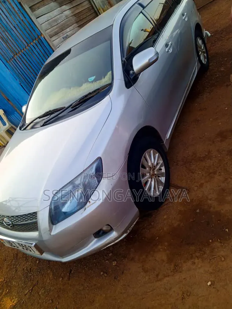 Toyota Corolla Fielder 2010 Gray