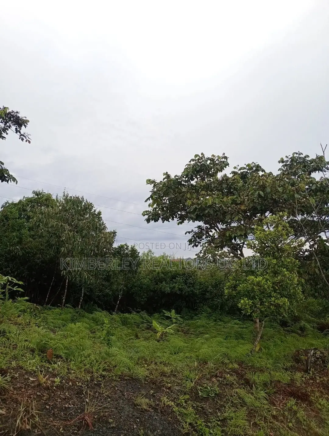 Prime Plot for Sale – Gayaza Kiwenda Estate