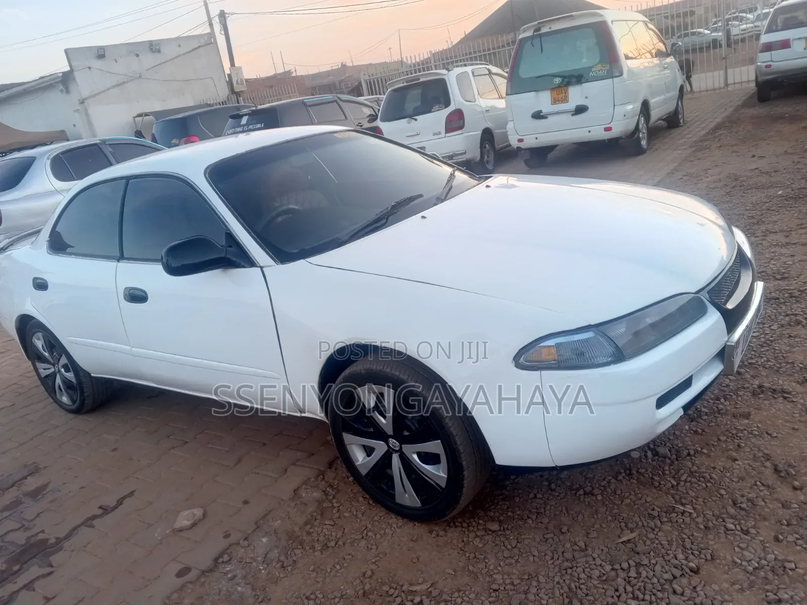 Toyota Corolla 1998 White