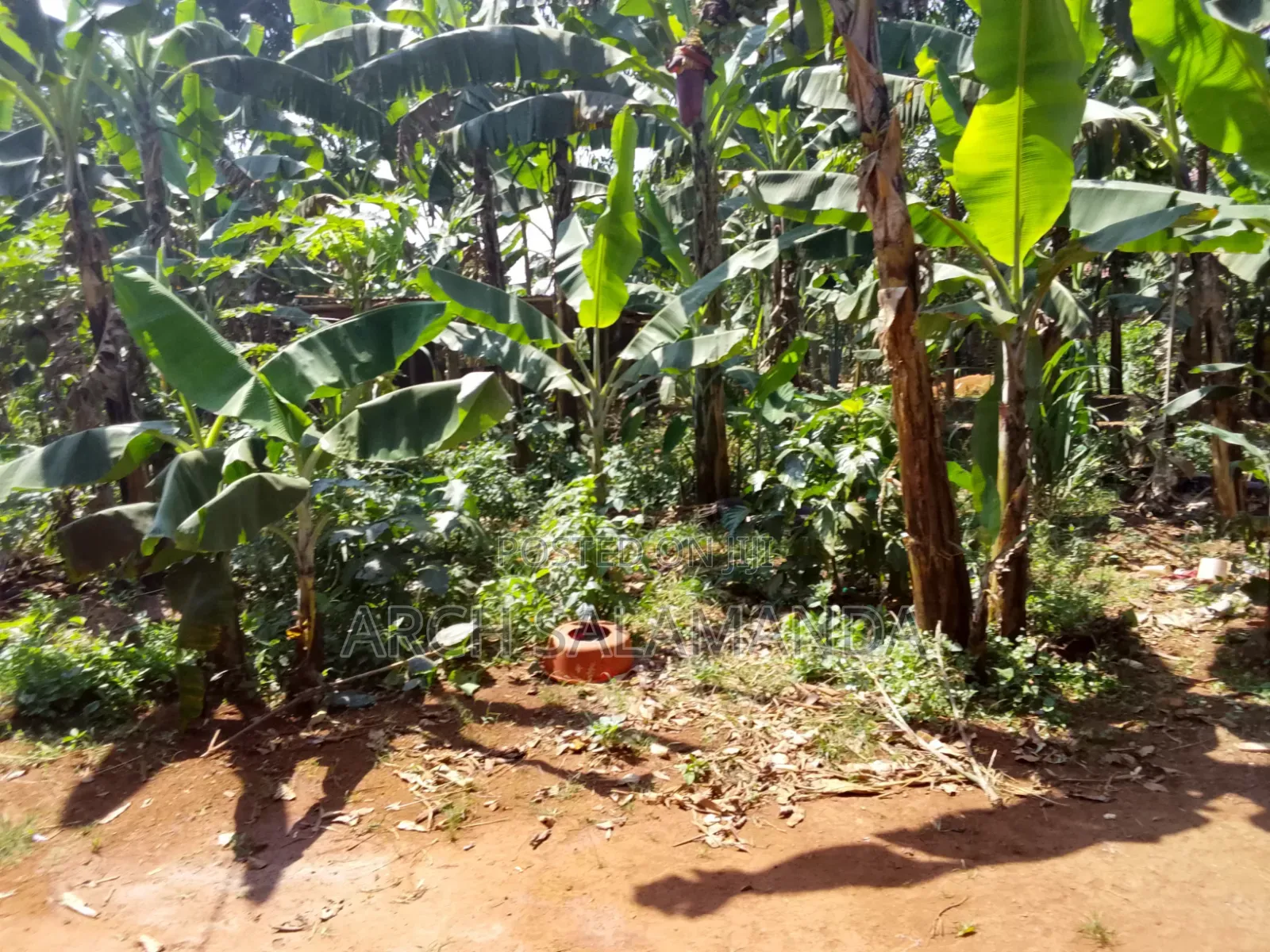 5bdrm House in Nakisunga for sale