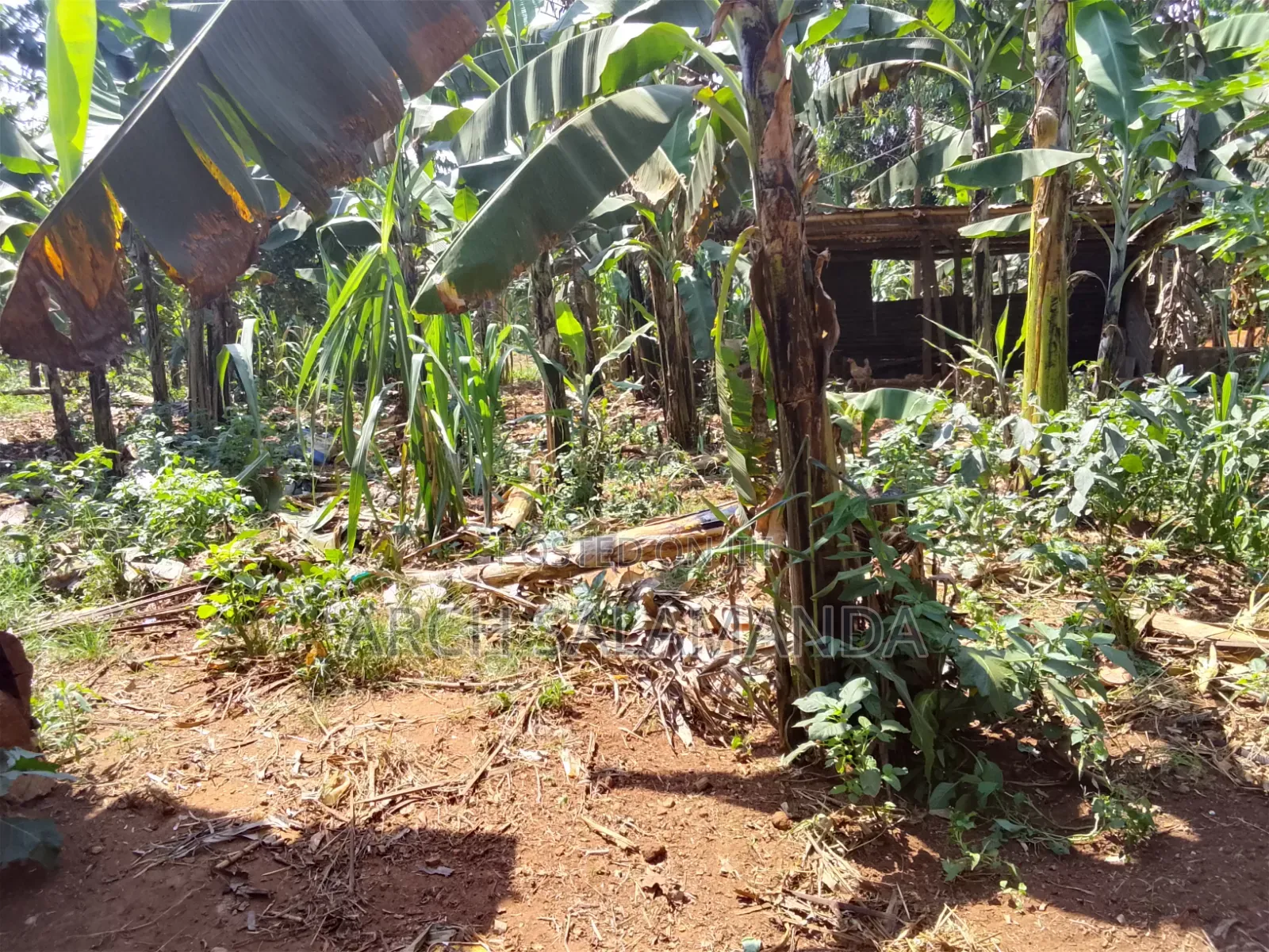 5bdrm House in Nakisunga for sale