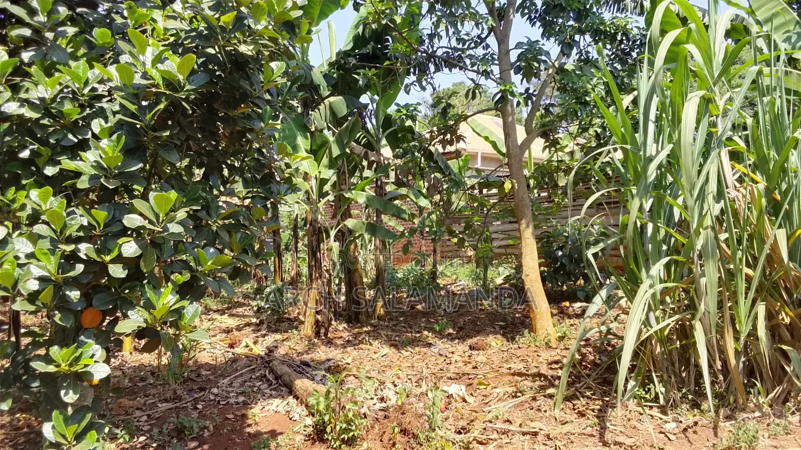 5bdrm House in Nakisunga for sale