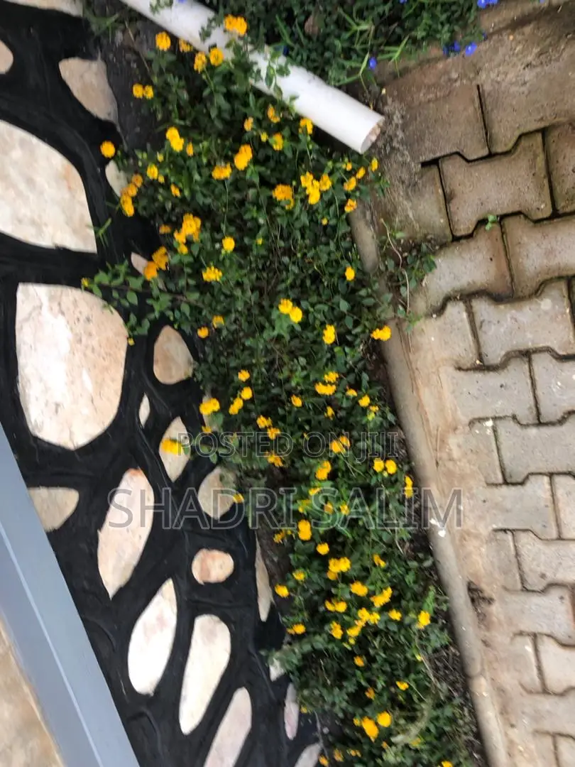 Walking Slabs And Landscaping
