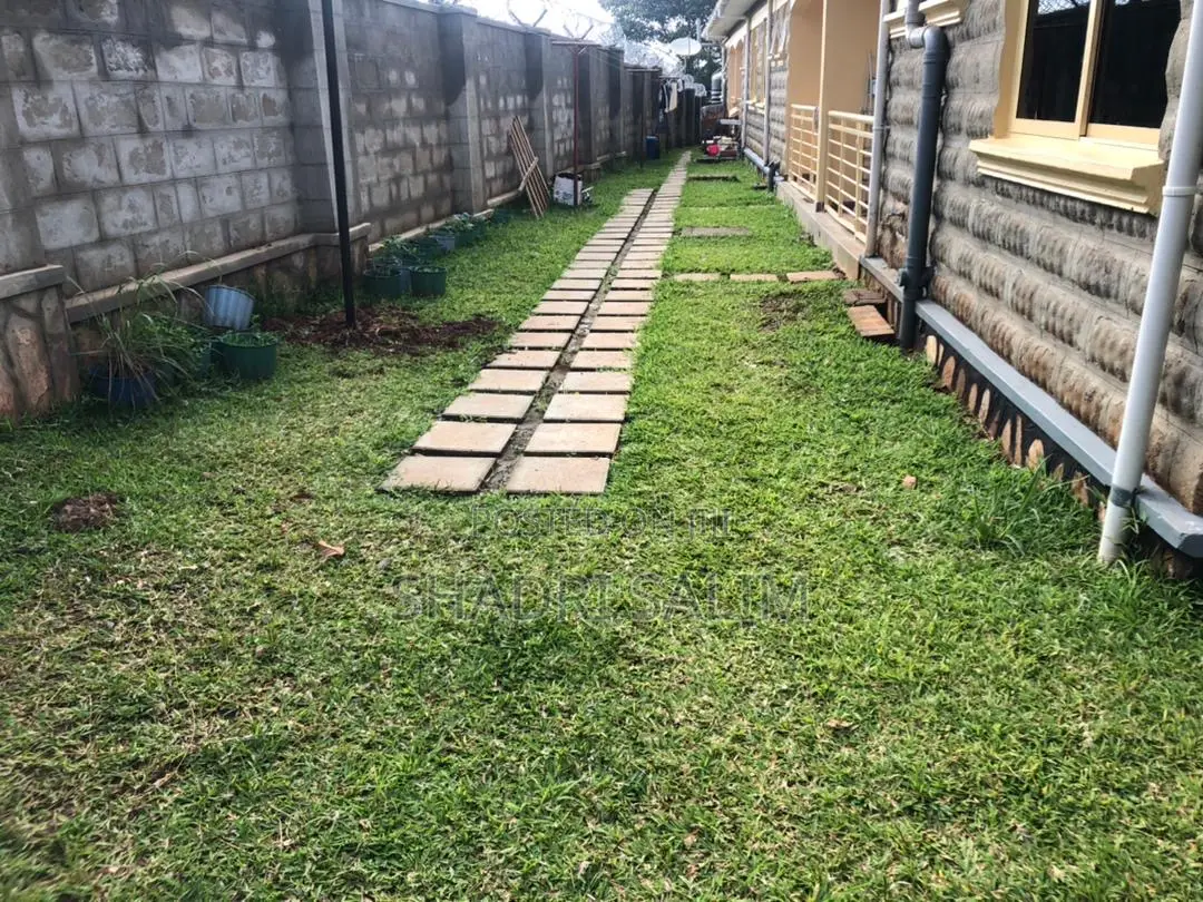 Walking Slabs And Landscaping