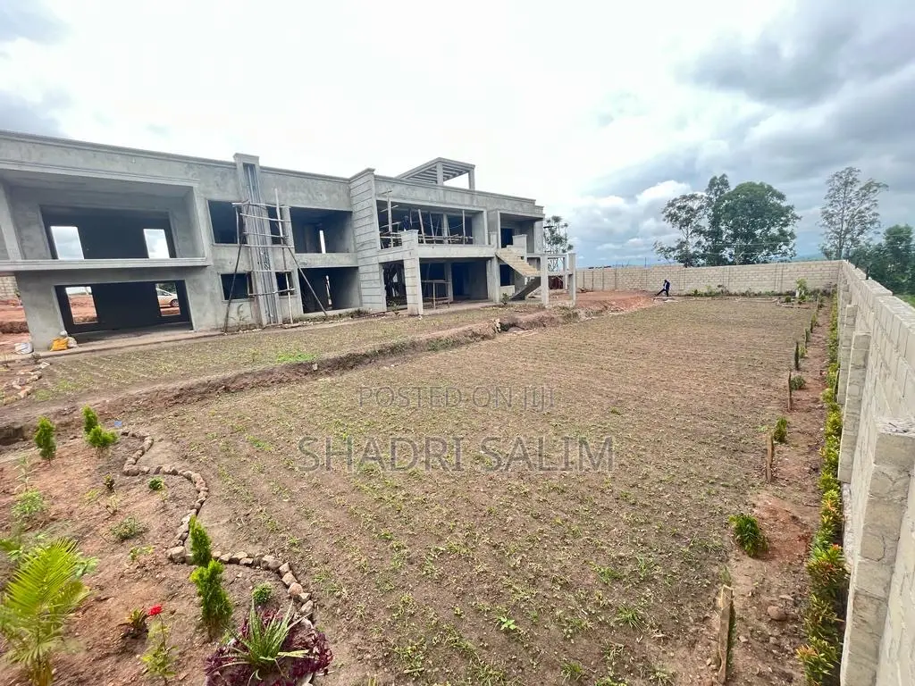Walking Slabs And Landscaping