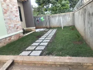 Walking Slabs And Landscaping