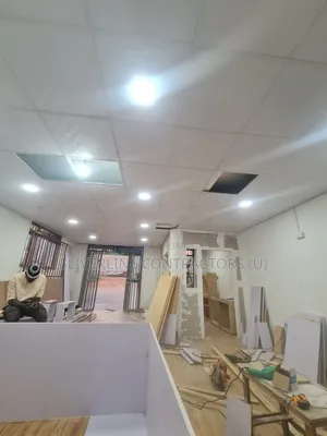 Suspended Ceiling Services