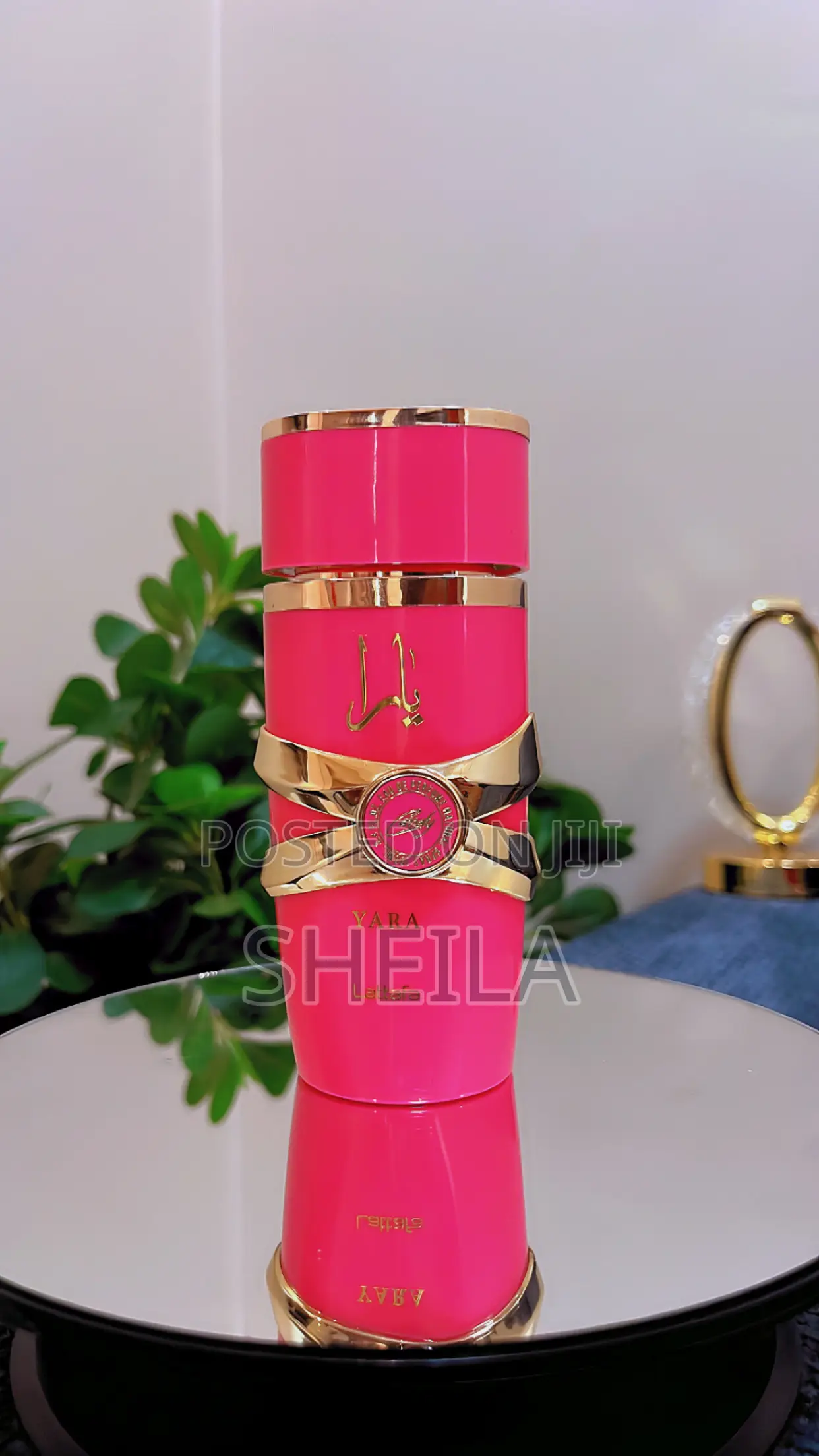 Authentic Arab Perfumes