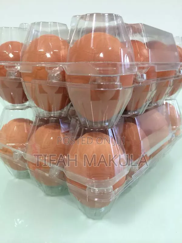Fresh Farm Eggs