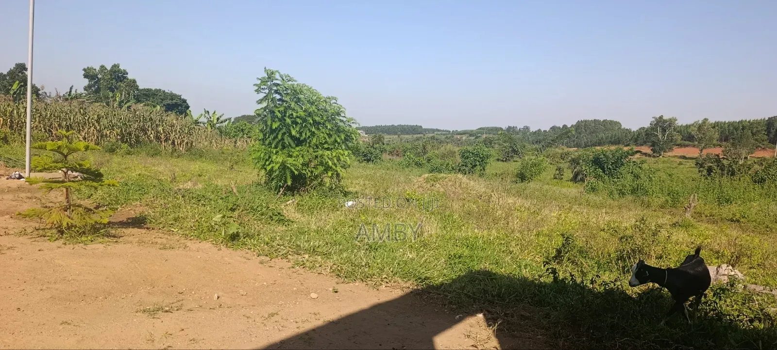Plots in Kitale