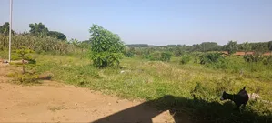 Plots in Kitale