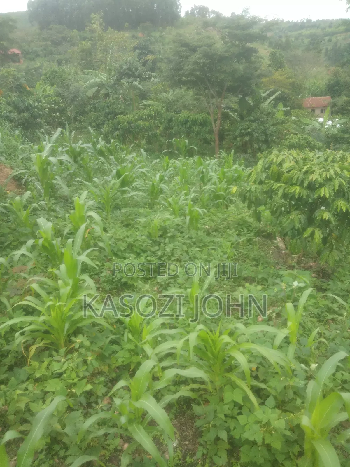 50ft by 120ft Gobero Wakiso