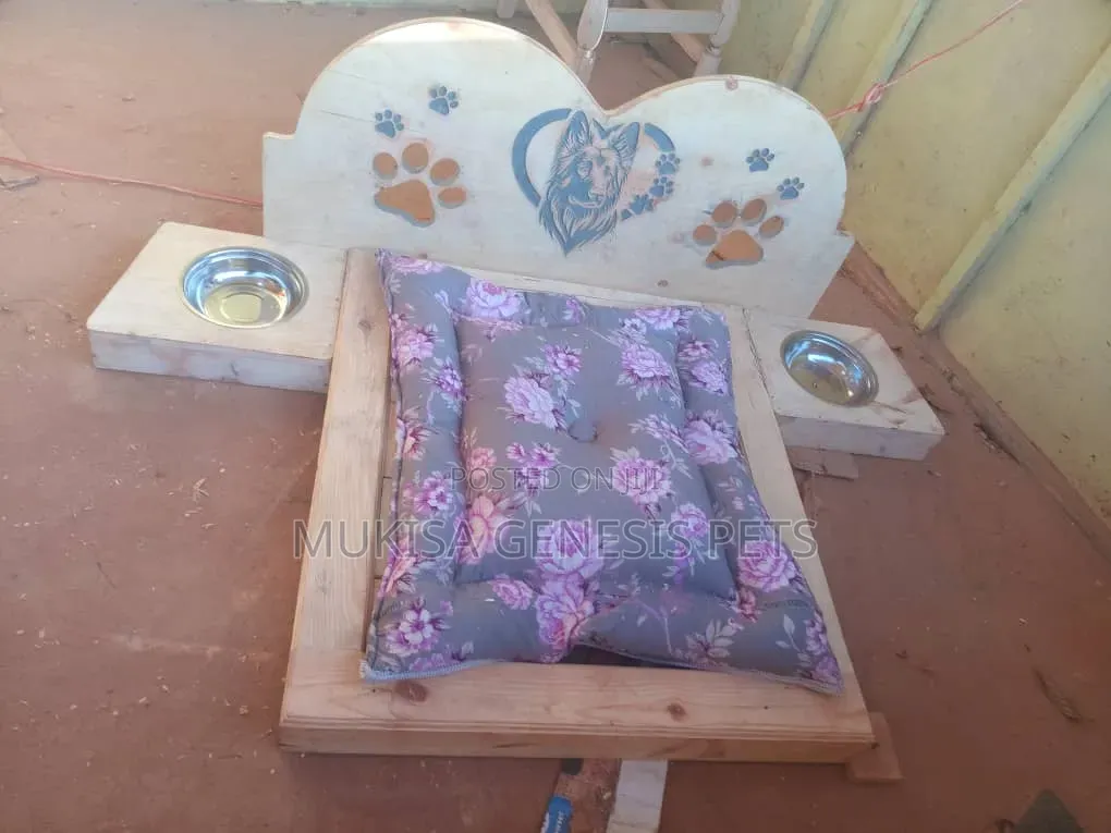 Modern Dog Beds
