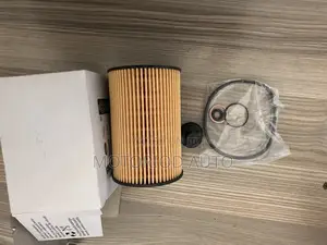 Oil Filter Rover Rover 2022 on Wards