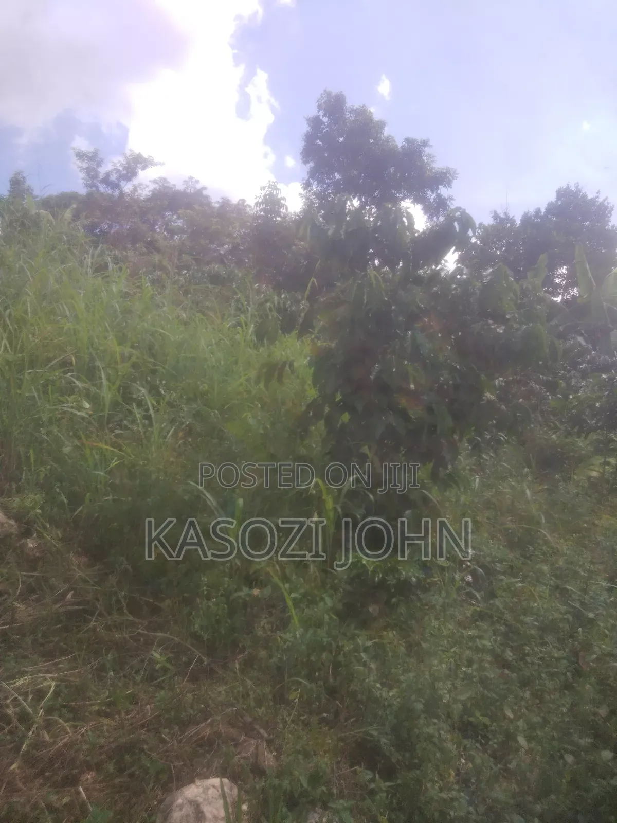 40ft by 95ft Plot Magogo ,Kakiri Town