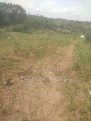 40ft by 95ft Plot Magogo ,Kakiri Town