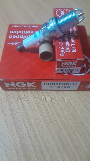 Spark Plugs