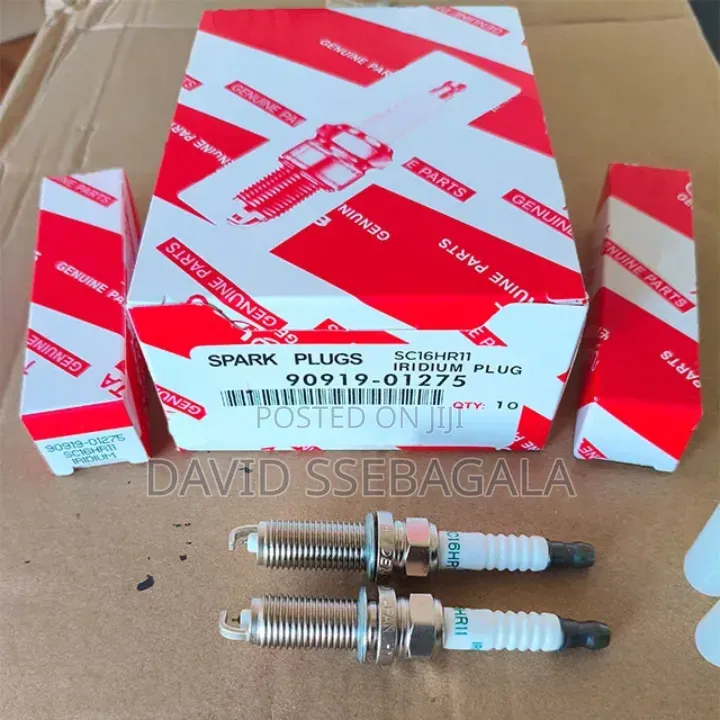 Spark Plugs