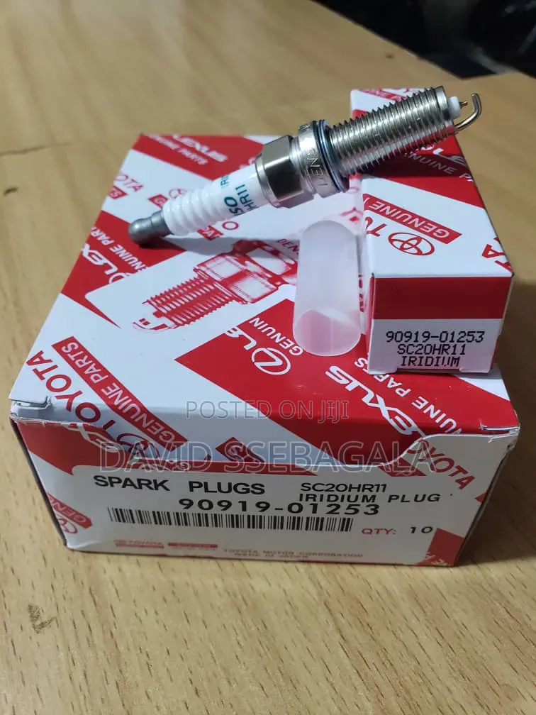 Spark Plugs