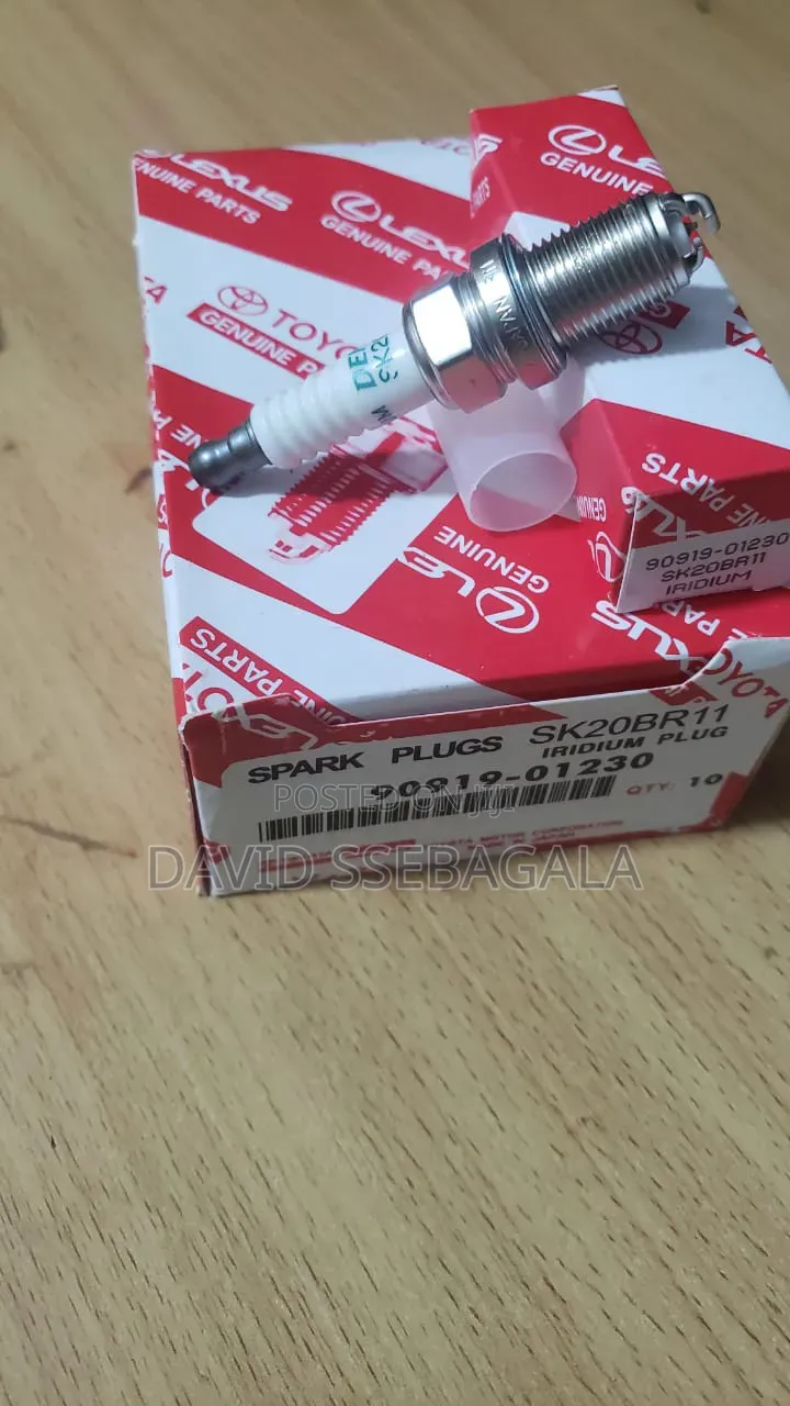 Spark Plugs