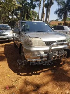 Nissan X-Trail 2.0 2002 Silver