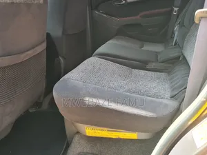 Toyota Land Cruiser Prado 2009 Gray