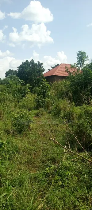 Farm Land for Sale – Wanfuufu