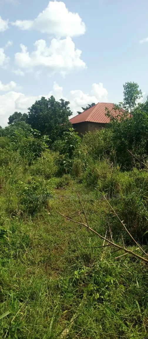 Farm Land for Sale – Wanfuufu