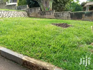 4 Bedroom House In Ntinda For Rent